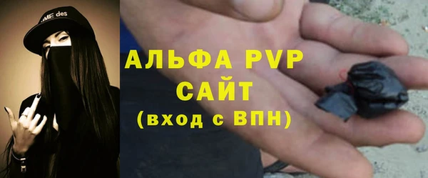 амф Алексин