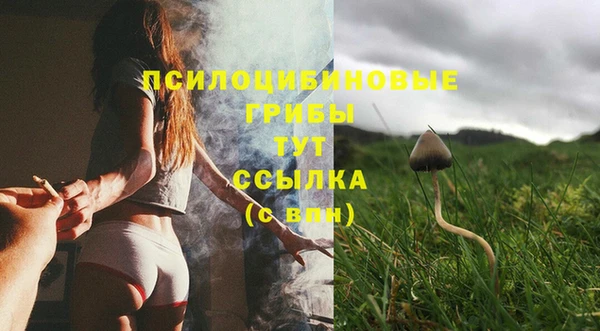 амф Алексин