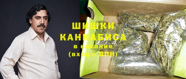 меф Арсеньев