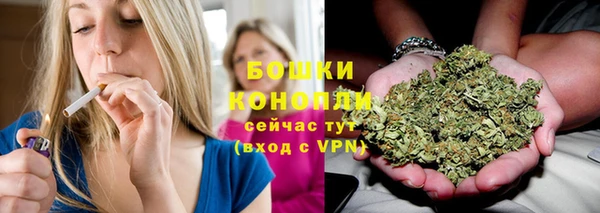 меф Арсеньев